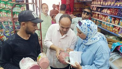 ضبط 27 طن فسيخ ورنجة فاسدة بالقاهرة 