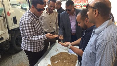 التموين: توريد 1.8 مليون طن قمح محلي حتى الآن في الموسم الجديد 