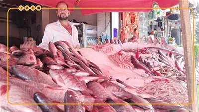 هل تنخفض أسعار الأسماك؟.. تعليق تجار سوق العبور على حملات «خليه يعفن» (إنفوجراف)