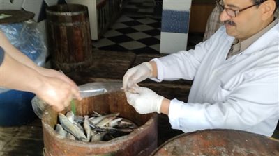 20 صورة ترصد ضبط 50 صندوق رنجة فاسدة قبل بيعها في شم النسيم بالغربية