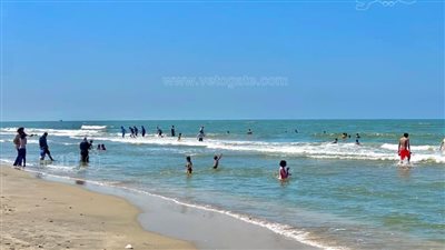 إقبال كثيف على شواطئ بلطيم للاحتفال بشم النسيم (صور)