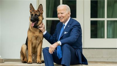 بعد 24 حادثة عض، حاكم ولاية أمريكية تقترح قتل كلب بايدن 
