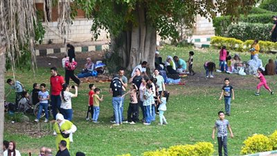 في أول عيد شم نسيم بعد رمضان، إقبال كثيف للأسر على القناطر الخيرية (صور) 