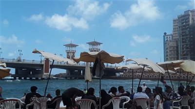 بسبب الأمواج، رفع الرايات الحمراء بشواطئ الإسكندرية (فيديو)