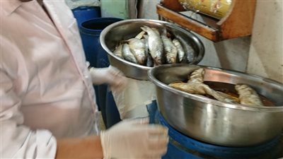 رقابة مشددة على الأسواق ومحلات بيع الأسماك المملحة في شم النسيم بالغربية