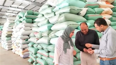 شون وصوامع البحيرة تستقبل 113 ألف طن قمح