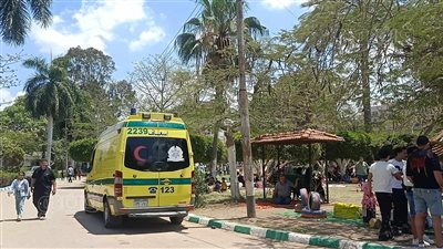 تفاصيل إصابة شاب سقطت عليه لوحة إعلانية من أعلى كوبري بالدقهلية 