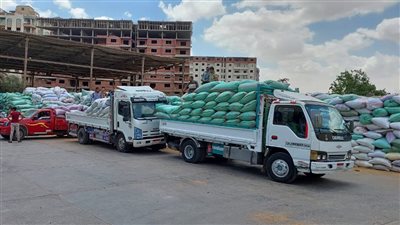 التموين: فتح نقاط استلام وتخزين القمح لاستقبال المحصول المحلي من خلال 450 موقعًا 