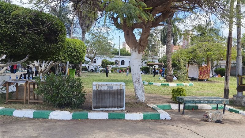 من داخل حديقة شجرة