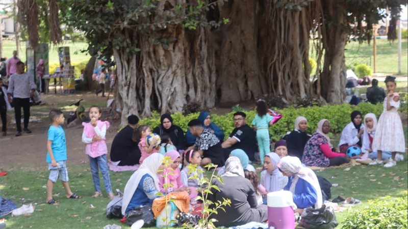 القناطر الخيرية كاملة