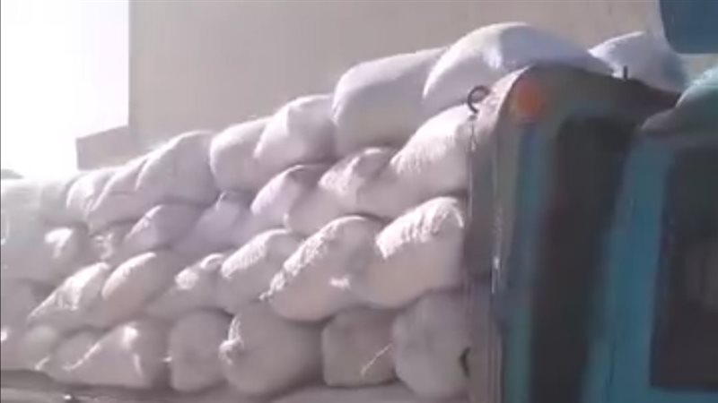 جانب من توريد القمح