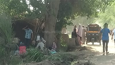 وسط الحقول، مواطنو الدقهلية يحتفلون بشم النسيم (صور)