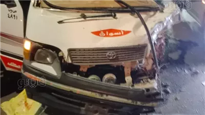 بالأسماء، إصابة 8 أشخاص في تصادم تريلا بميكروباص علي طريق أجا بالدقهلية 