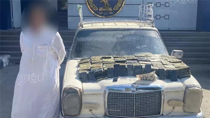 مخدرات، فيتو