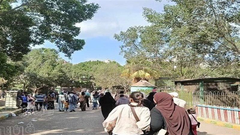 حديقة الحيوان 