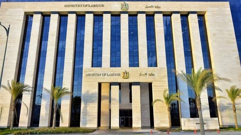 وزارة العمل،فيتو