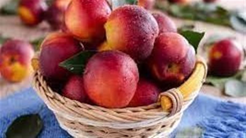 أسعار الخوخ في الأسواق،