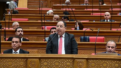 وزير المالية: برنامج شامل ومتكامل لإصلاح الهيئات الاقتصادية