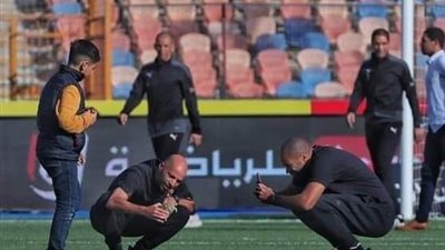 عجائب الكرة المصرية، سلحفاة تظهر في استاد القاهرة قبل لقاء الأهلي والاتحاد