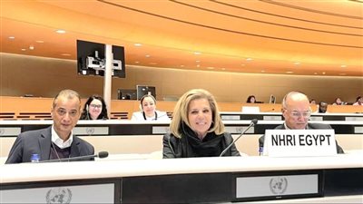 وفد قومي حقوق الإنسان يشارك في الاجتماع السنوي المؤسسات الوطنية بالأمم المتحدة 