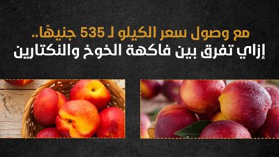 مع وصول سعر الكيلو لـ 535 جنيهًا.. إزاي تفرق بين فاكهة الخوخ والنكتارين (إنفوجراف)