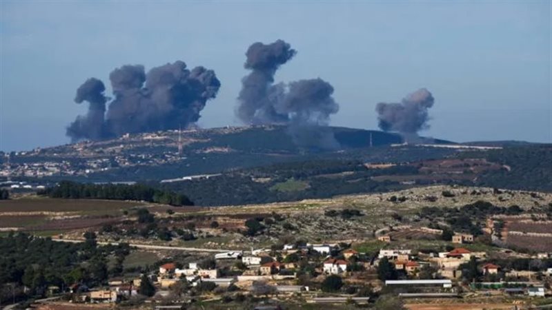 جنوب لبنان، فيتو