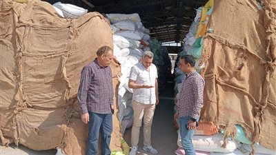 توريد 127 ألفا و458 طن قمح لشون وصوامع البحيرة