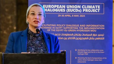 البيئة: فرص اقتصادية لمشروعات الهيدروجين الأخضر بقيمة 770 مليار دولار