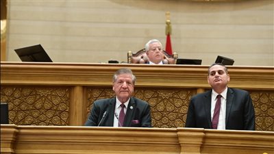  نائب مهاجما مدبولي: حكومة الرمل والزلط، ورئيس النواب يرفض الحذف من المضبطة 