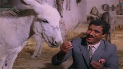 في يومهم العالمي، حضور طاغٍ وطريف للحمير في السينما المصرية