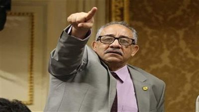 طلعت خليل: وثيقة السياسة الضريبية يجب أن تكون أداة تنمية وليست جباية