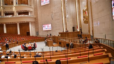  بعد موافقة النواب، اختصاصات مجلس إدارة القومي للطفولة والأمومة