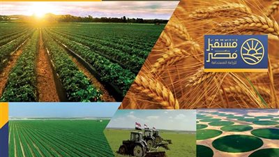 آخر مستجدات مشروع مستقبل مصر للإنتاج الزراعي (صور) 