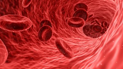 بعد انتشاره في العراق.. معلومات عن مرض الثلاسيميا.. الأعراض والمخاطر وكيفية العلاج (صور)