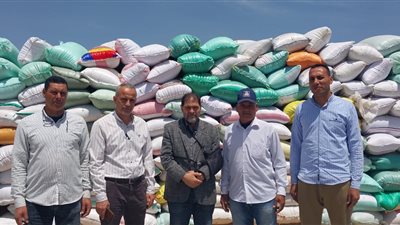 توريد 138 ألفا و212 طن قمح إلى شون وصوامع البحيرة 