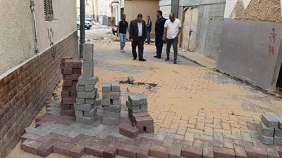 رفع كفاءة وتطوير شوارع مدينة حوش عيسى في البحيرة 