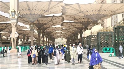 تركيات يجهزن الكفتة في ساحات الحرم النبوي تثير جدلا على مواقع التواصل 