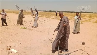 استرداد 5 أفدنة بالظهير الصحراوي وإزالة 112 حالة تعد في المنيا