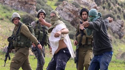 مستوطنون يهاجمون مزارعي الزيتون غرب رام الله