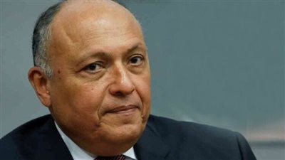 وزير الخارجية يبحث مع نظيره الأيرلندي الأوضاع في غزة