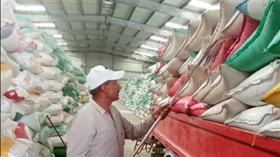 انتظام سير العمل بمنظومة توريد القمح لشون وصوامع الشرقية 