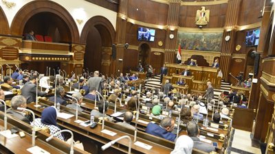 تفاصيل طلب مناقشة أمام الشيوخ بشأن مراكز التنمية الشبابية