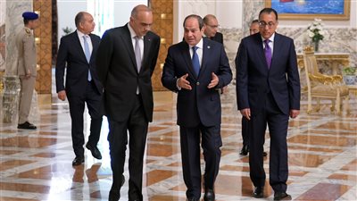  للتوصل إلى هدنة شاملة في غزة، رسائل مصرية قوية للعالم