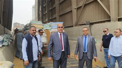 توريد 225 ألف طن قمح في 37 موقعا تخزينيا بالدقهلية (فيديو وصور)
