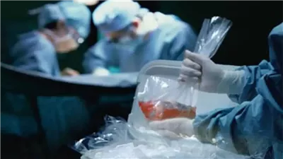 تجديد حبس سيدة بورسعيد المتهمة بتخدير ابنها لاستخراج أعضائه 