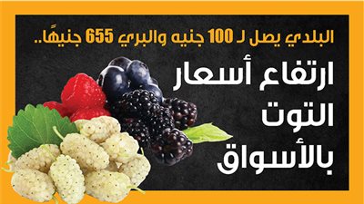 البلدي يصل لـ 100 جنيه والبري 655 جنيهًا.. ارتفاع أسعار التوت بالأسواق (إنفوجراف)