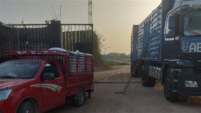 شون وصوامع البحيرة تستقبل 147 ألف طن قمح 