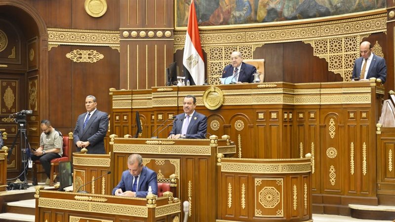 مجلس الشيوخ، فيتو
