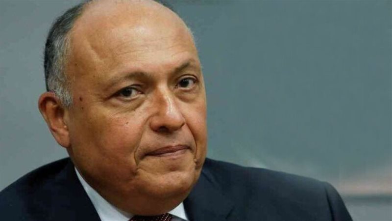 سامح شكري، فيتو