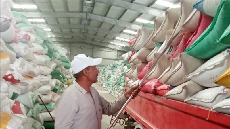 توريد القمح بالقليوبية،